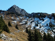 Quasi in vetta al MONTE SECCO (2293 m.) in solitaria con i camosci il 5 novembre 2012  - FOTOGALLERY